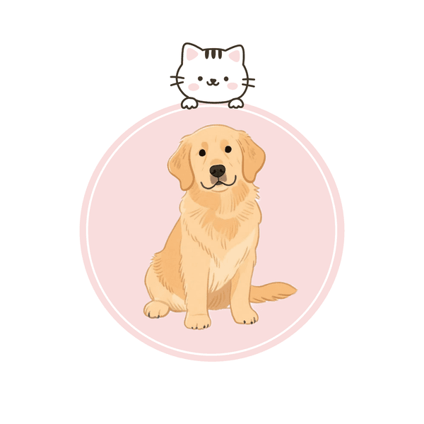Cutie Pet Salon