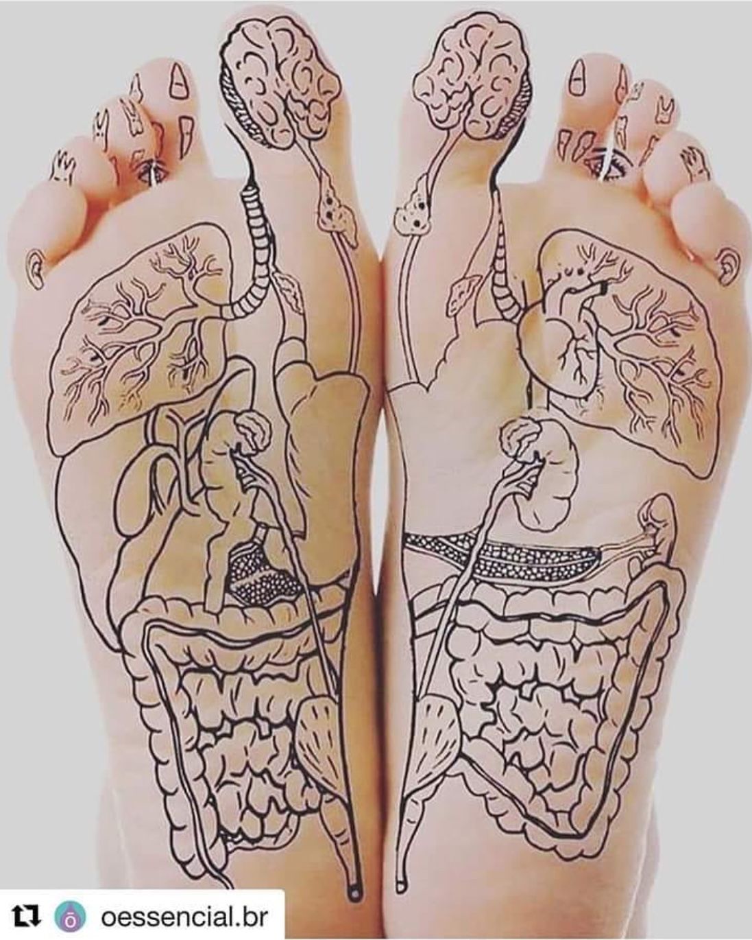 60min Foot Detox Reflexology